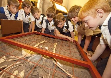 5 Free and Fun School Trip Ideas