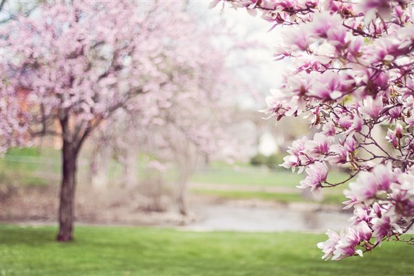 Spring time trips for schools
