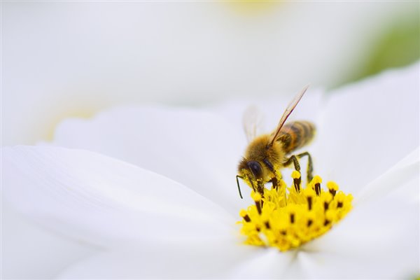 Are you drug-driving on your prescription hayfever medication?