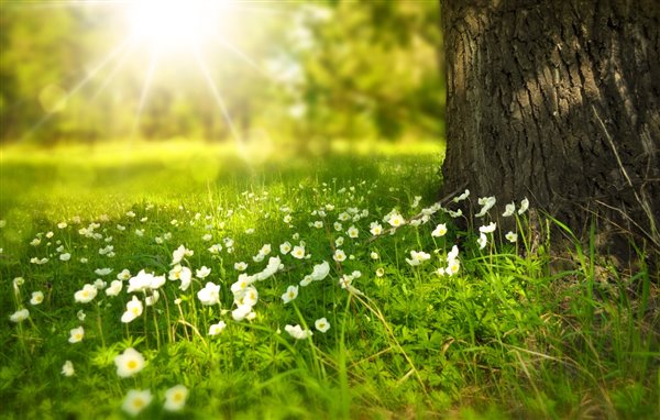 4 Reasons for Nature-orientated School Trips