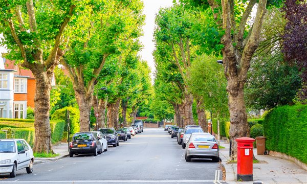 A national pavement parking prohibition could come into force 